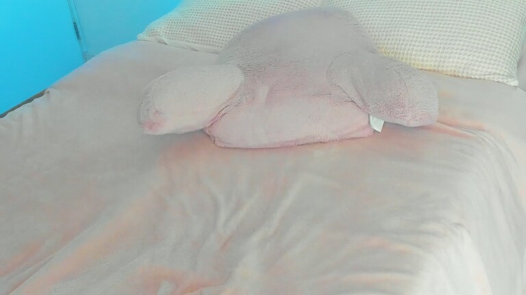 sexkittensasha's Streamate show and profile